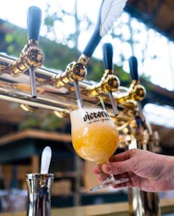 Victoria bier van de tap