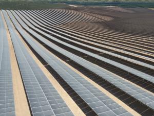 Zonnepark van AB Inbev in Spanje