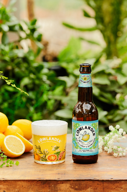 Lowlander non alc lemon and elderflower bier