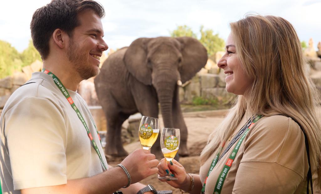 Man en vrouw proosten met olifant op de achtergrond