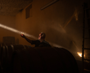 Nestorbrouwer Gerard van den Broek bekijkt Grand Prestige Vatgerijpt 2023