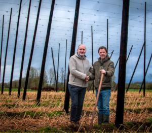 Peter Buelens en Joris Vanderveken in het PALM hopveld