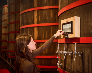 Rodenbach bezoekersparcours