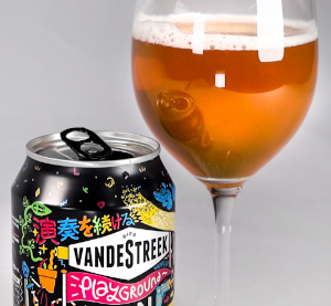 Playground NA IPA vandestreek