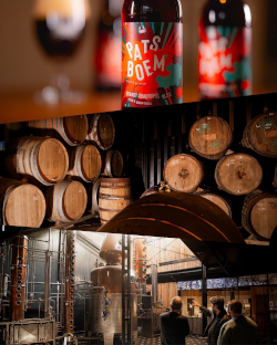 samenwerking scheldebrouwerij en de cort voor patsboem brandy quadrupel 2025