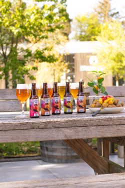 vijf fruitbieren brouwersnos