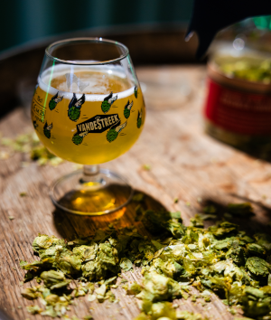 vandestreek bierglas tijdens fresh hop festival