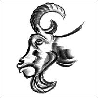 bokbier