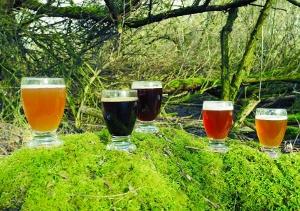 Bieren Brouwerij Stijl Bieren Brouwerij Stijl