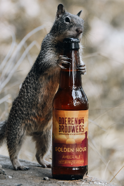 boeren brouwers biertje met eekhoorn