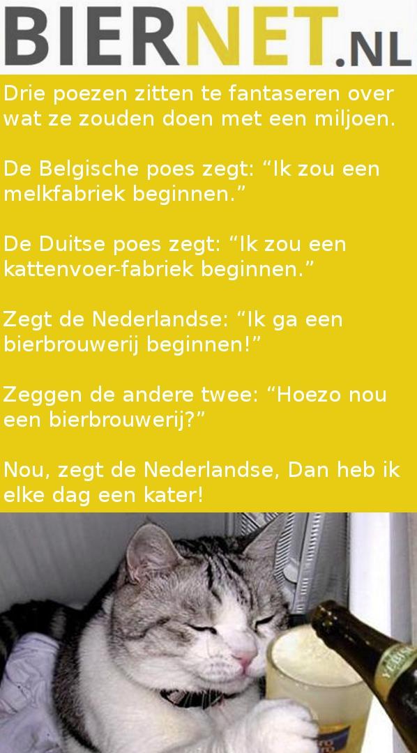 3 poezen met een miljoen mop
