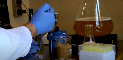 Noordt LagerLab X Beerwulf&nbsp;