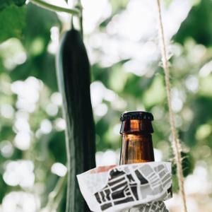 Bier met komkommer // Foto: Louise Boonstoppel 