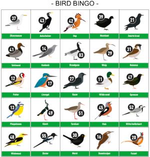Bird Vogelbingo