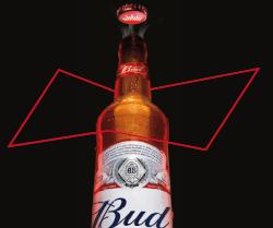 Bud bier in Nederland