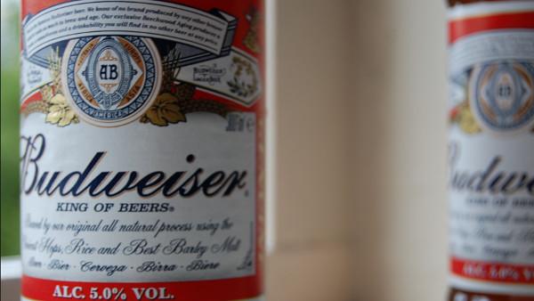 Budweiser Beer