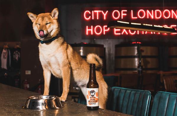 Hond geniet van SubWoofer IPA