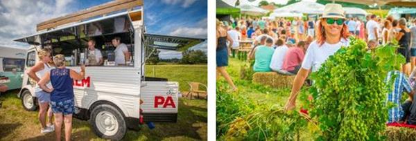 Palm hoppluk tapwagen en hopstruik