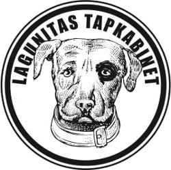 Lagunitas Tapkabinet