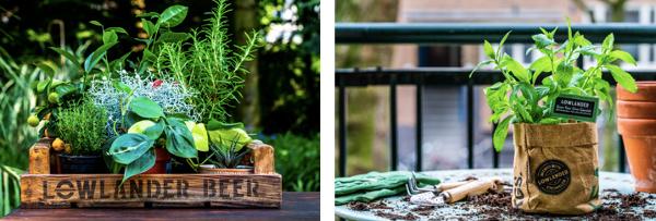 Lowlander Beer garnering groeit