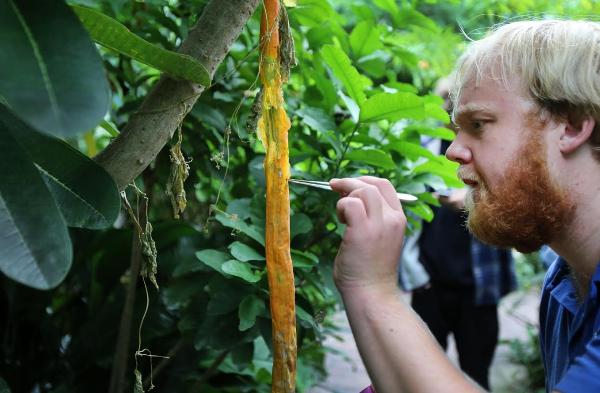 Microbioloog Pepijn van der Meer // foto ARTIS, Ronald van Weeren