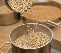 Mout om bier te brouwen