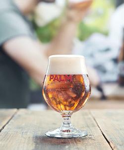 Palm 0.0 in het Palm bolglas