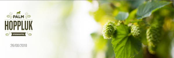 Palm Hoppluk 2018