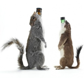 De aparte verpakkingen van The End of History