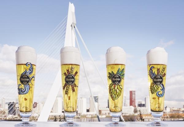 Warsteiner vierde Art Collection Tulpglazen