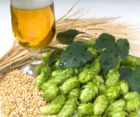 Bier, mout en hop