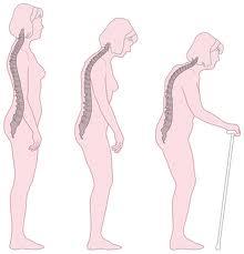 bier is goed voor de botten