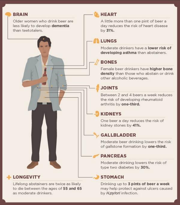 Invloed van bier op organen, botten en gewrichten Invloed van bier op organen, botten en gewrichten