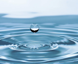 Water in bier // Pixabay Water in bier // Pixabay