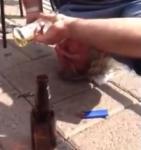 Op zijn kop bier drinken