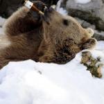 Beer drinkt bier