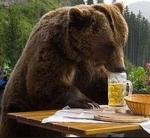 Beer drinkt bier