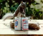 Dierenenbier