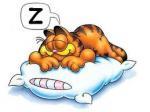 slaap