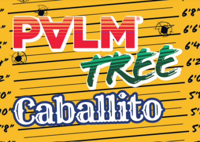 Palm Tree Caballito logo