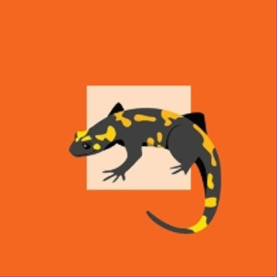 Nano Cinco Salamandre logo