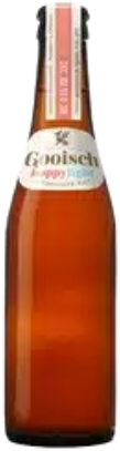 Gooisch Hoppy Light 0 5 Flesje Gooisch Hoppy Light 0 5 Flesje