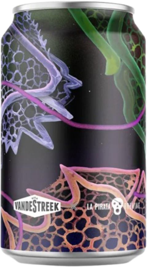 VandeStreek Imperial Rye Stout Speyside BA blikje