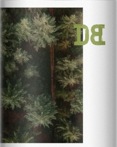 Dutch Bargain DESTROYER Logo