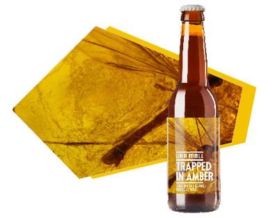 Van Moll Trapped in Amber BA bier
