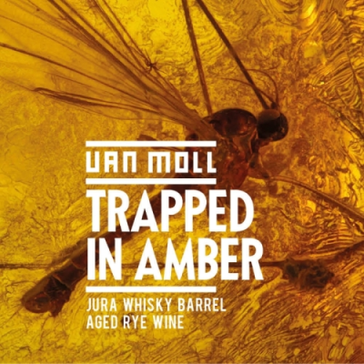 Van Moll Trapped in Amber BA