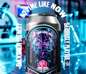 Beer Geeks Beat ALS No Time Like Now logo