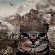 Kat in legerhelm met rookwolken en bergen op de achtergrond.