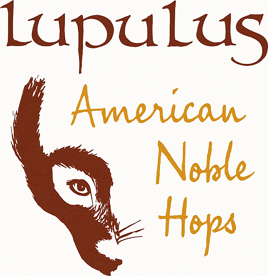 Etiket van Lupulus American Noble Hops