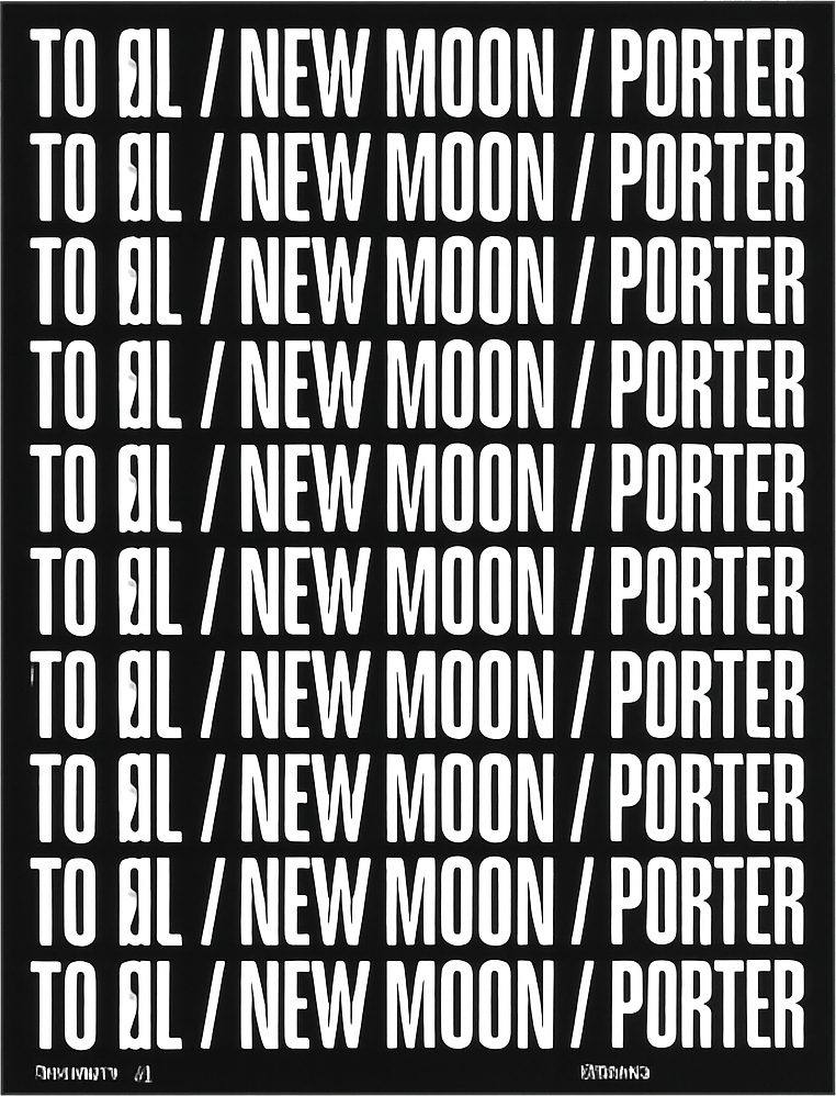 Etiket van To Øl New Moon Porter